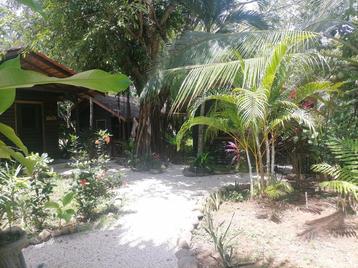 Casa El Colibri Bed & Breakfast Parrita Exterior photo